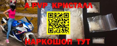 твердый Кингисепп
