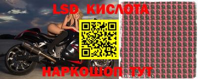 твердый Кингисепп