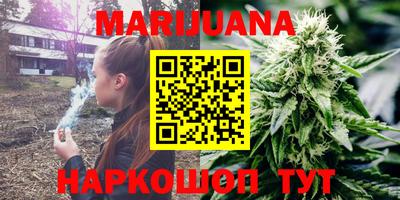 твердый Кингисепп
