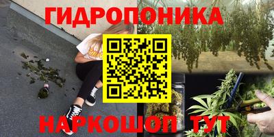 Альфа ПВП Кимры
