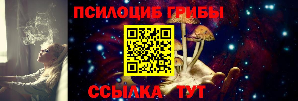 Псилоцибиновые грибы Psilocybe  Вход с VPN  Королёв  Галлюциногенные грибы GOLDEN TEACHER 